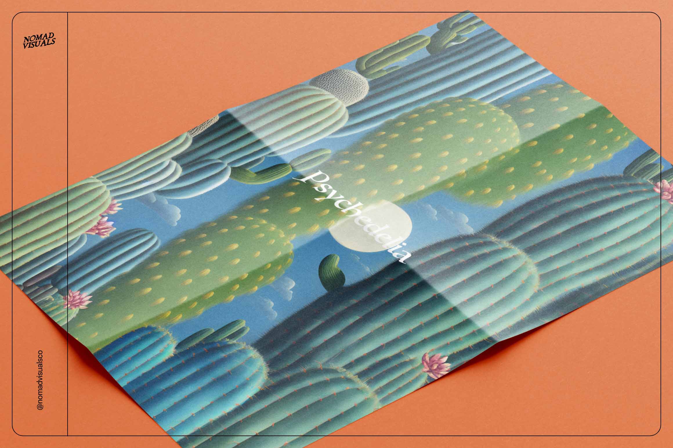 Magic Cactus - Nomad Visuals 3.jpg