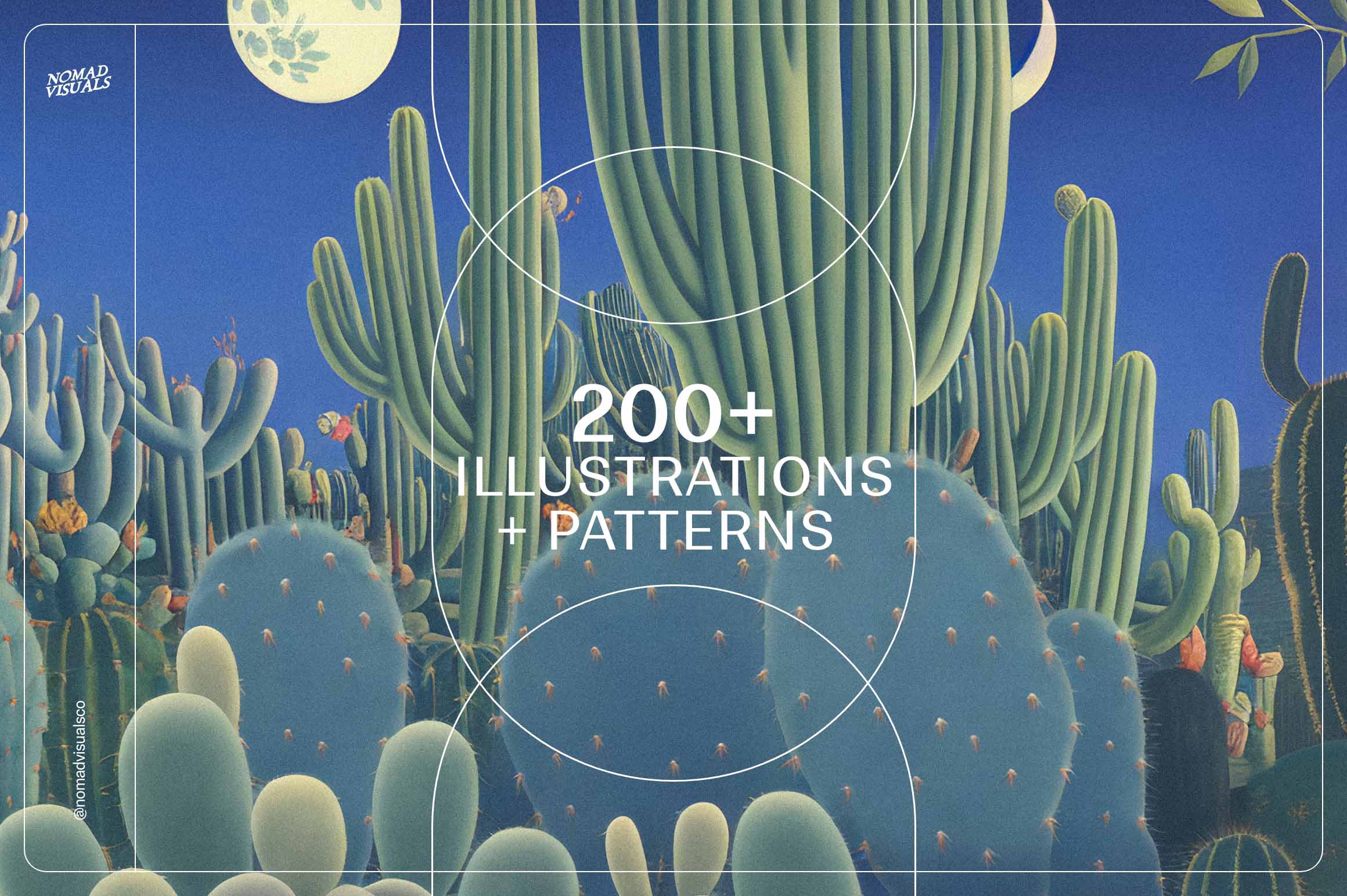 Magic Cactus - Nomad Visuals 7.jpg