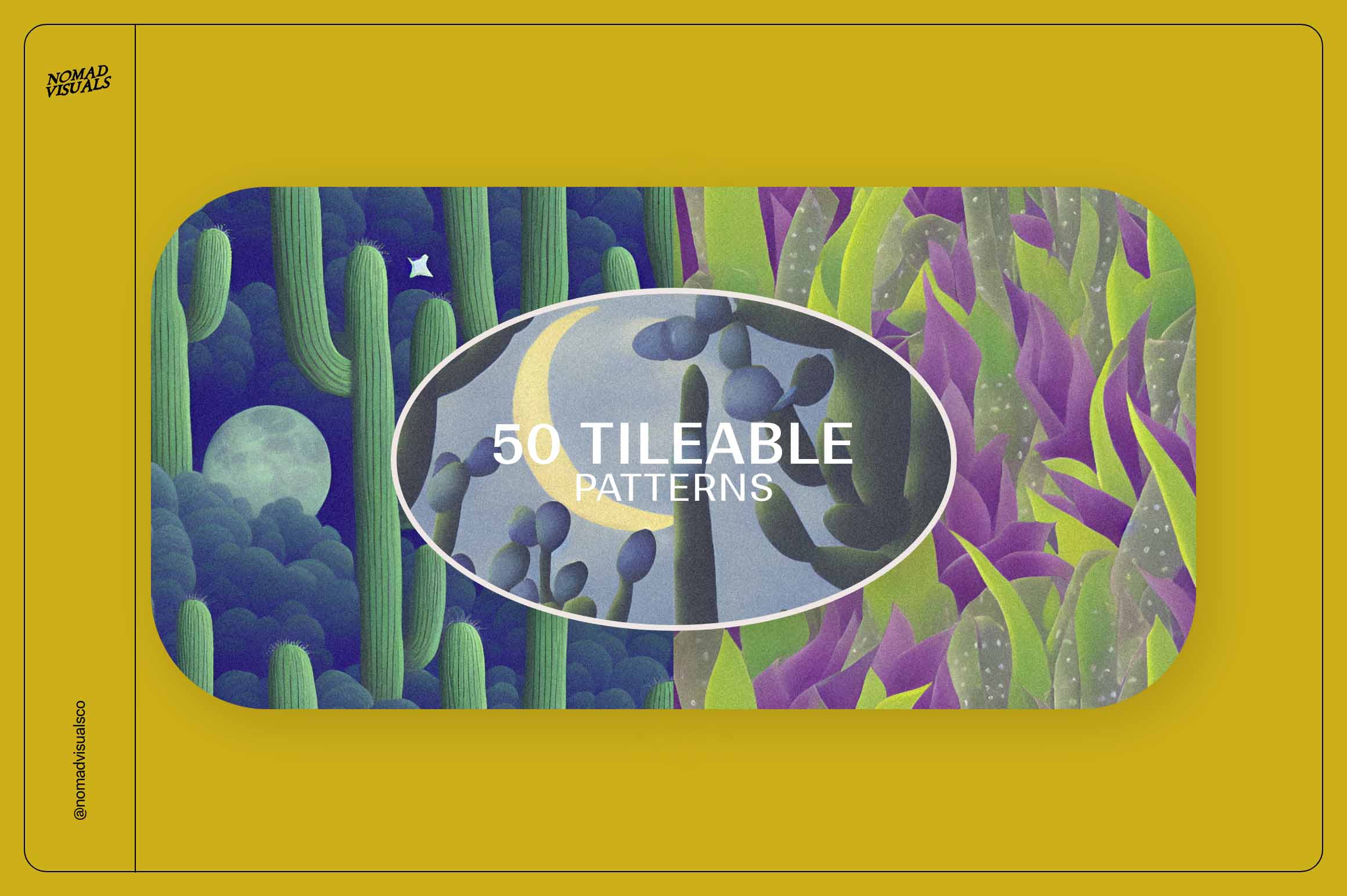 Magic Cactus - Nomad Visuals 8.jpg