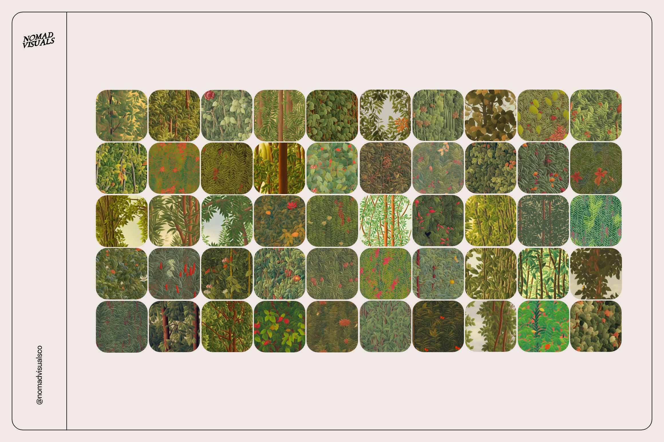 Magic Jungle - Nomad Visuals 10.jpg