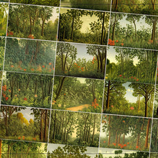 Magic Jungle - Nomad Visuals 12.jpg
