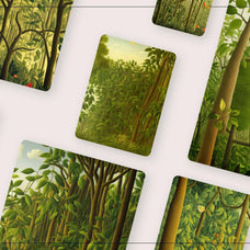 Magic Jungle - Nomad Visuals 16.jpg