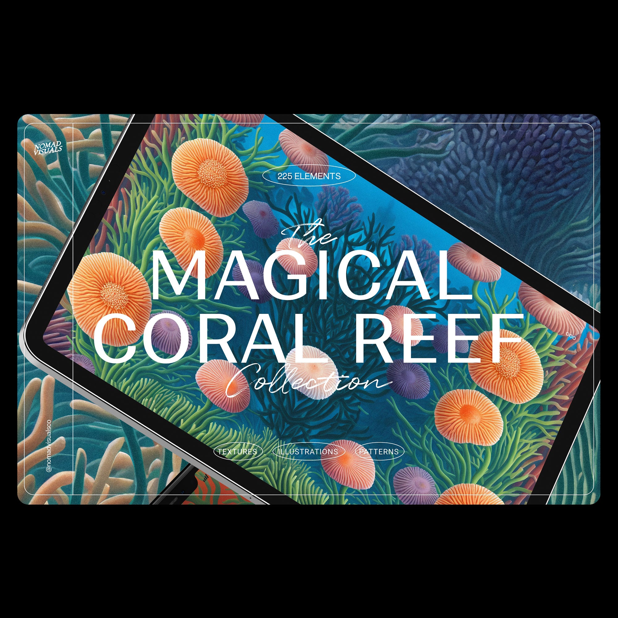 Magical Coral Reef - Nomad Visuals 1.jpg