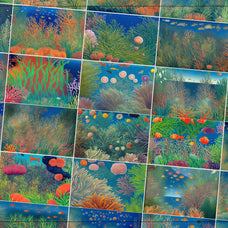 Magical Coral Reef - Nomad Visuals 12.jpg