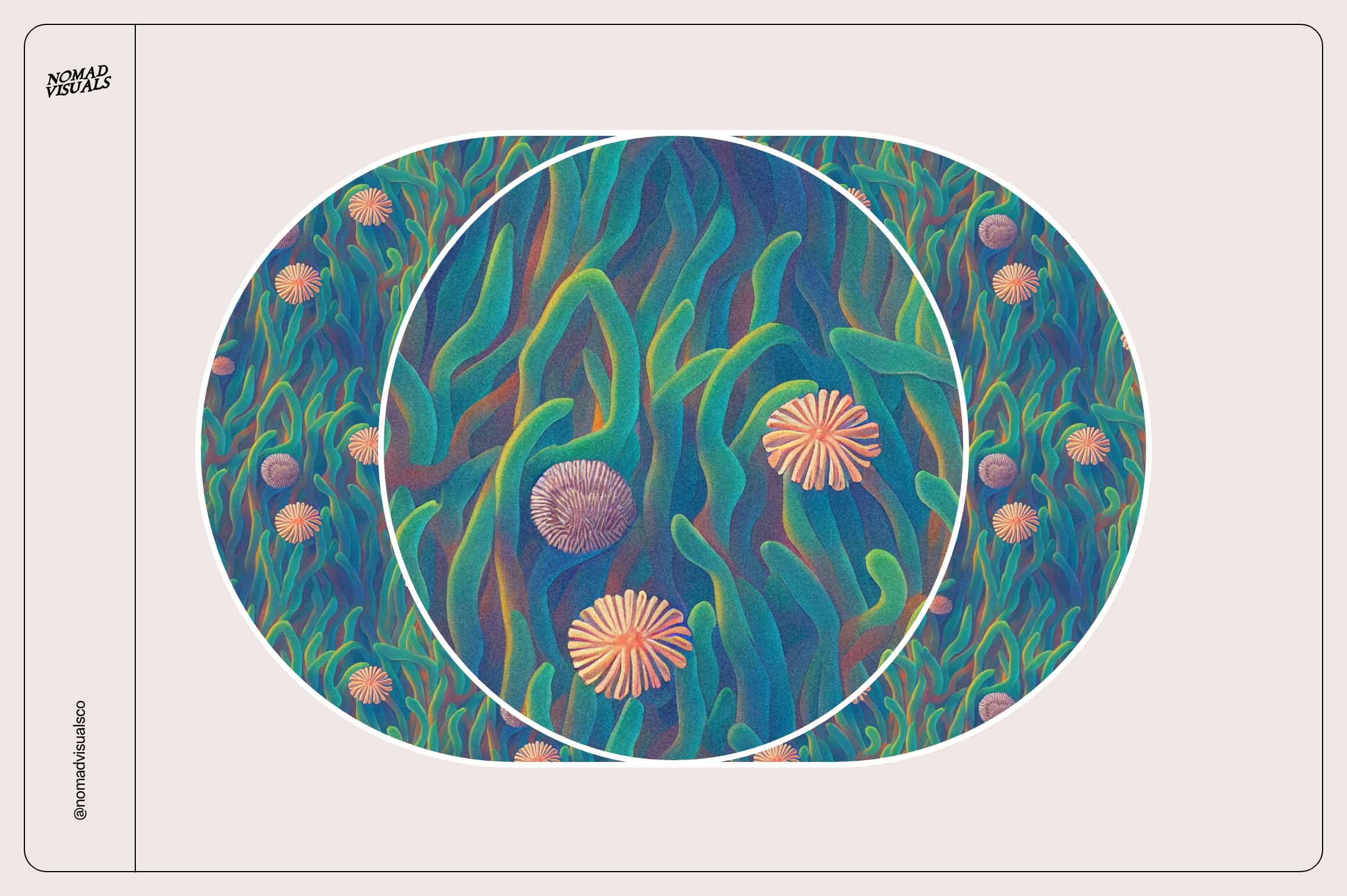 Magical Coral Reef - Nomad Visuals 13.jpg