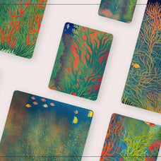 Magical Coral Reef - Nomad Visuals 16.jpg