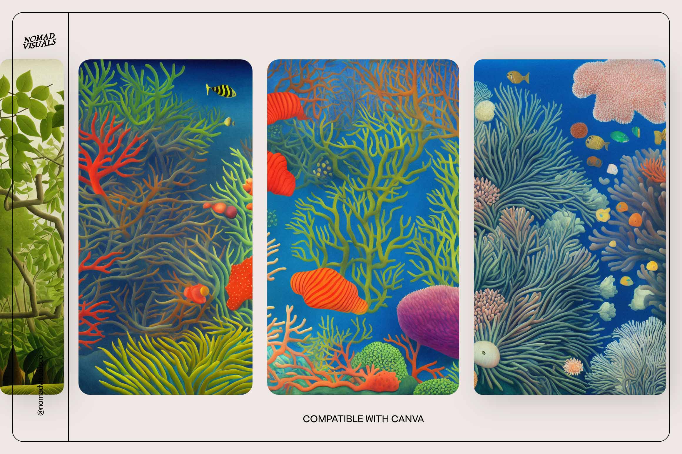 Magical Coral Reef - Nomad Visuals 19.jpg