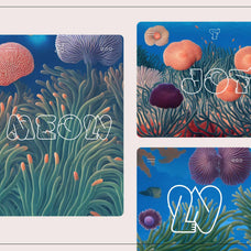 Magical Coral Reef - Nomad Visuals 2.jpg