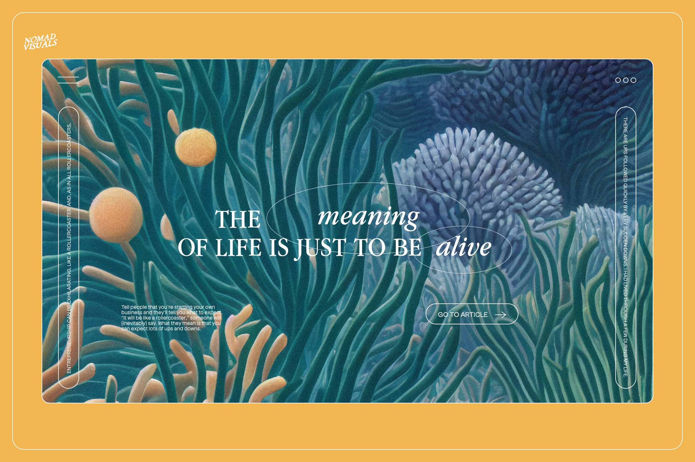 Magical Coral Reef - Nomad Visuals 7.jpg