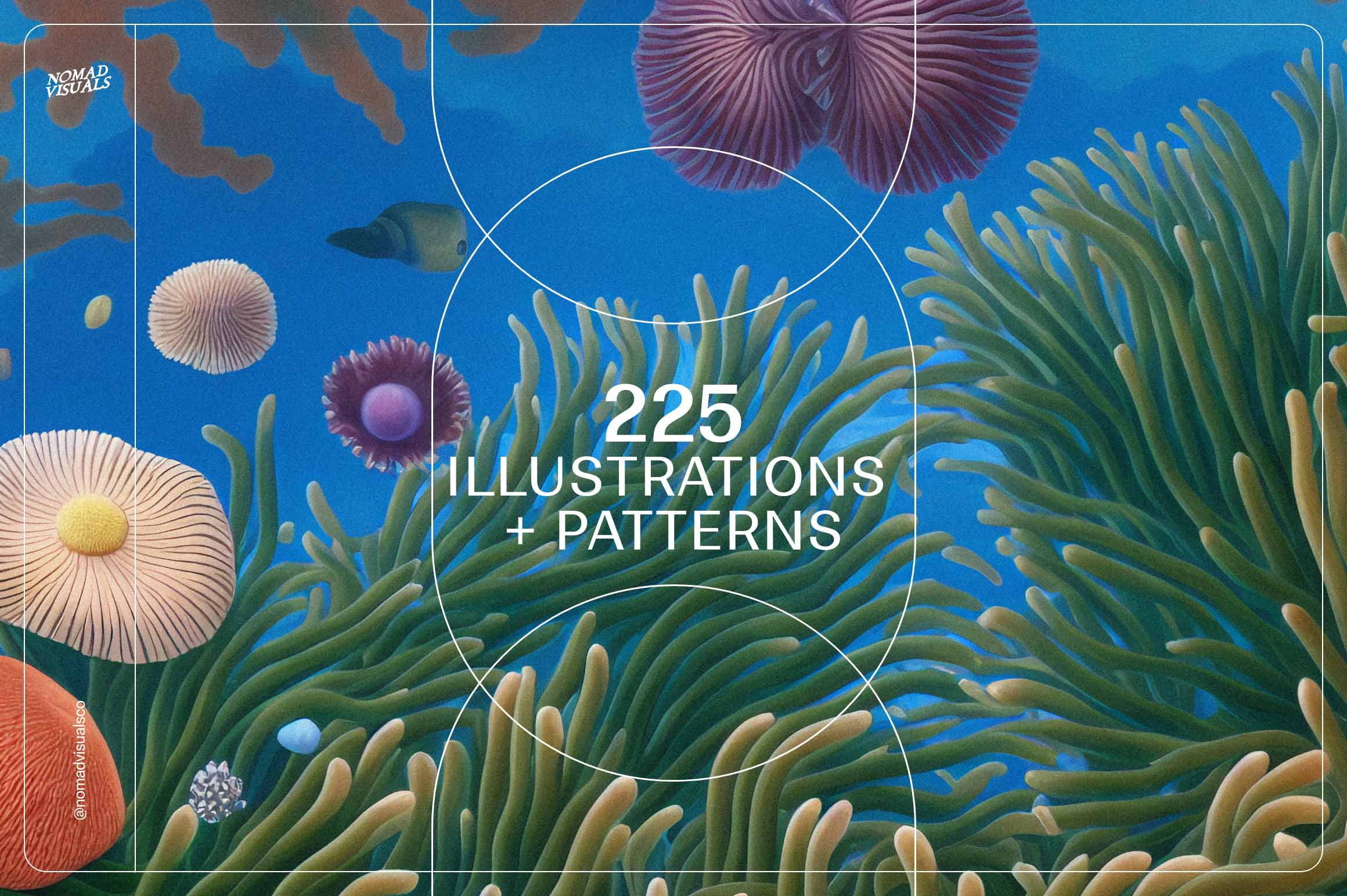 Magical Coral Reef - Nomad Visuals 8.jpg