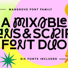 Mangrove Font Duo - Set Sail Studios 1.jpg