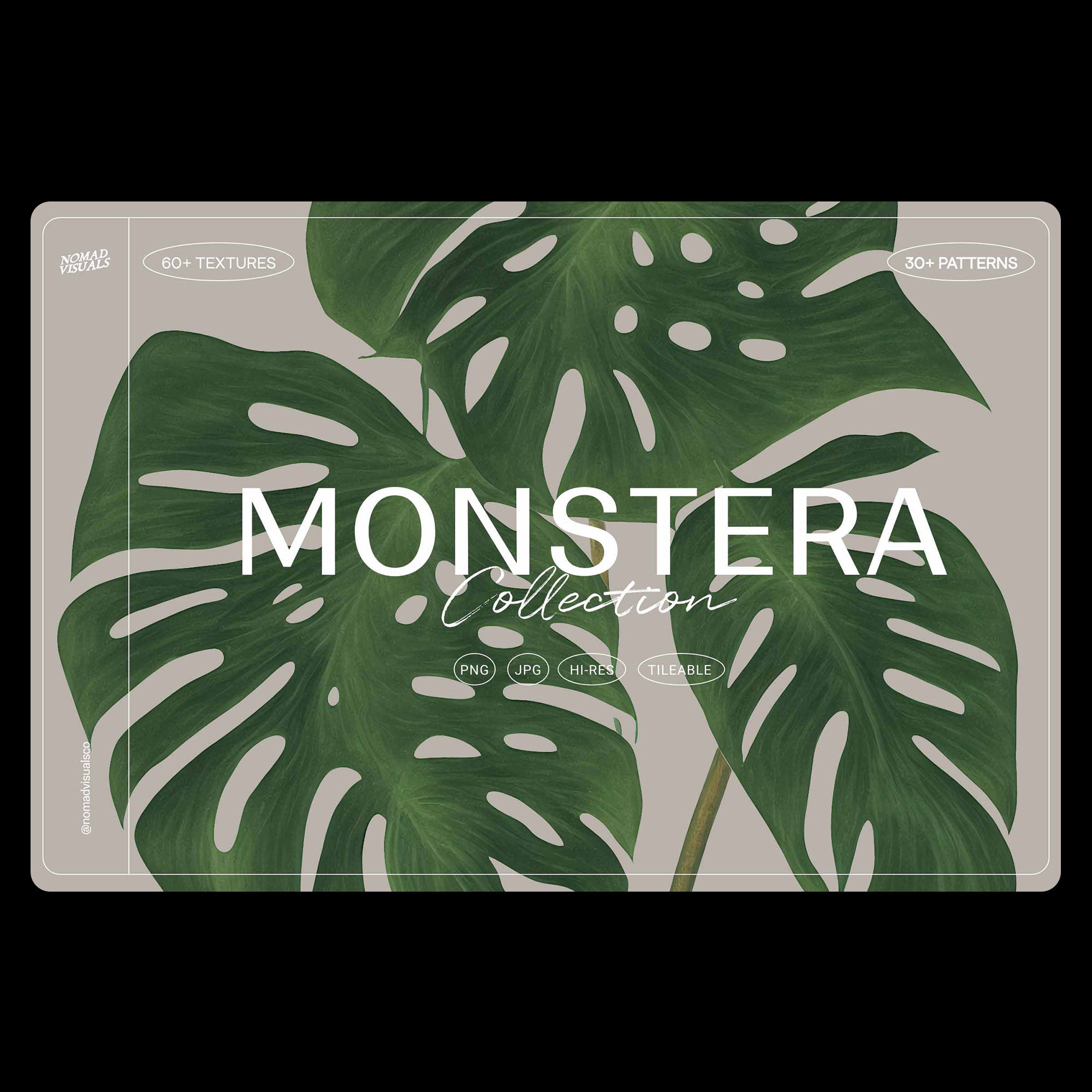 Monstera Tropical Collection - Nomad Visuals 1.jpg