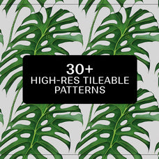 Monstera Tropical Collection - Nomad Visuals 10.jpg
