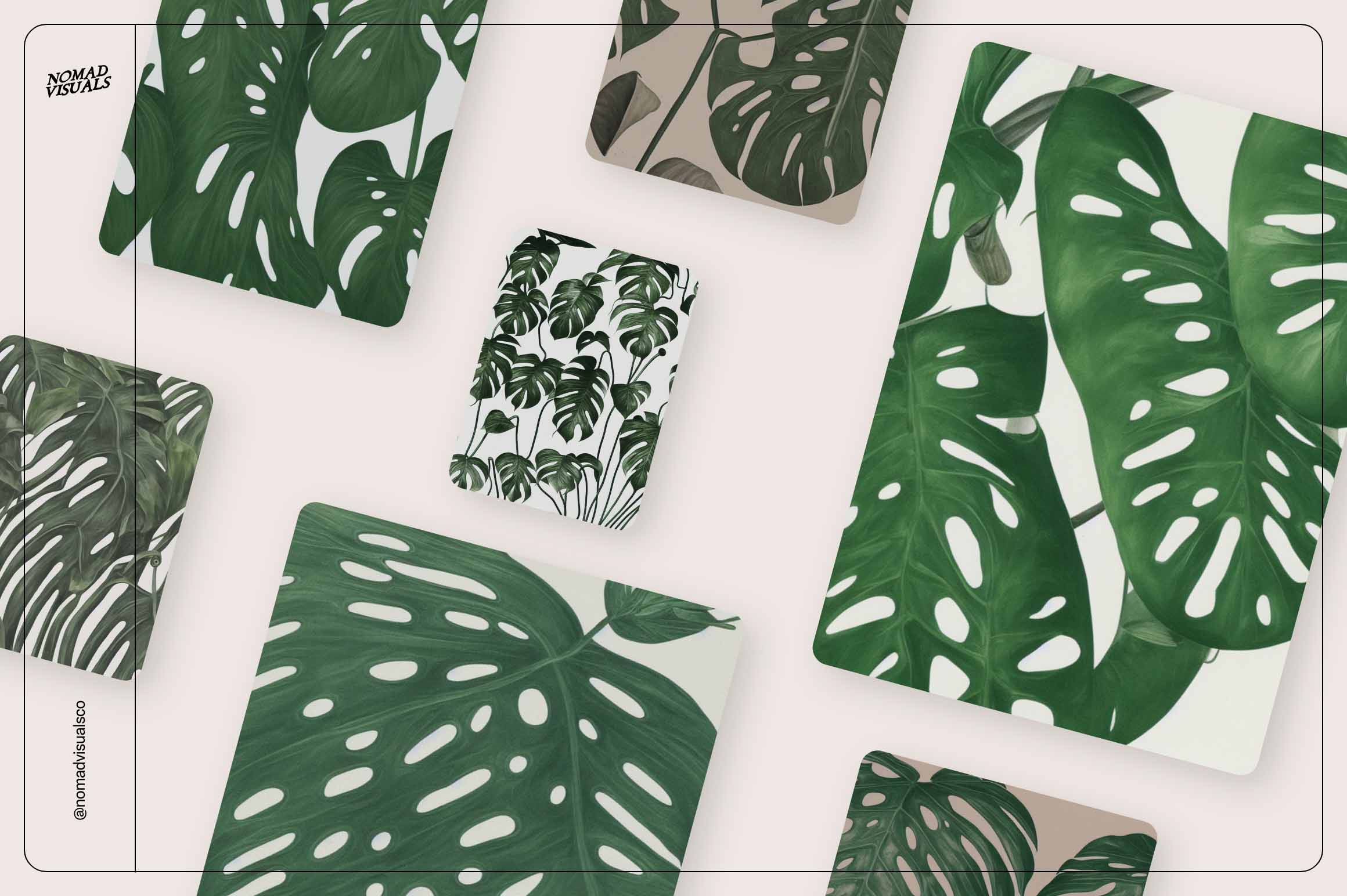 Monstera Tropical Collection - Nomad Visuals 14.jpg