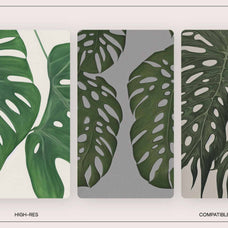 Monstera Tropical Collection - Nomad Visuals 16.jpg