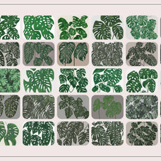 Monstera Tropical Collection - Nomad Visuals 2.jpg