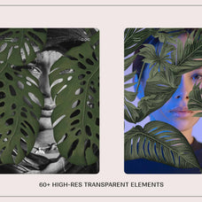 Monstera Tropical Collection - Nomad Visuals 3.jpg