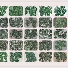 Monstera Tropical Collection - Nomad Visuals 5.jpg