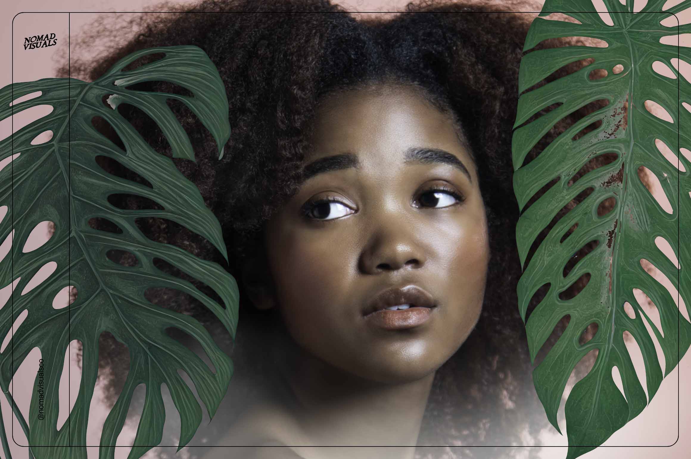 Monstera Tropical Collection - Nomad Visuals 8.jpg