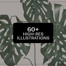 Monstera Tropical Collection - Nomad Visuals 9.jpg