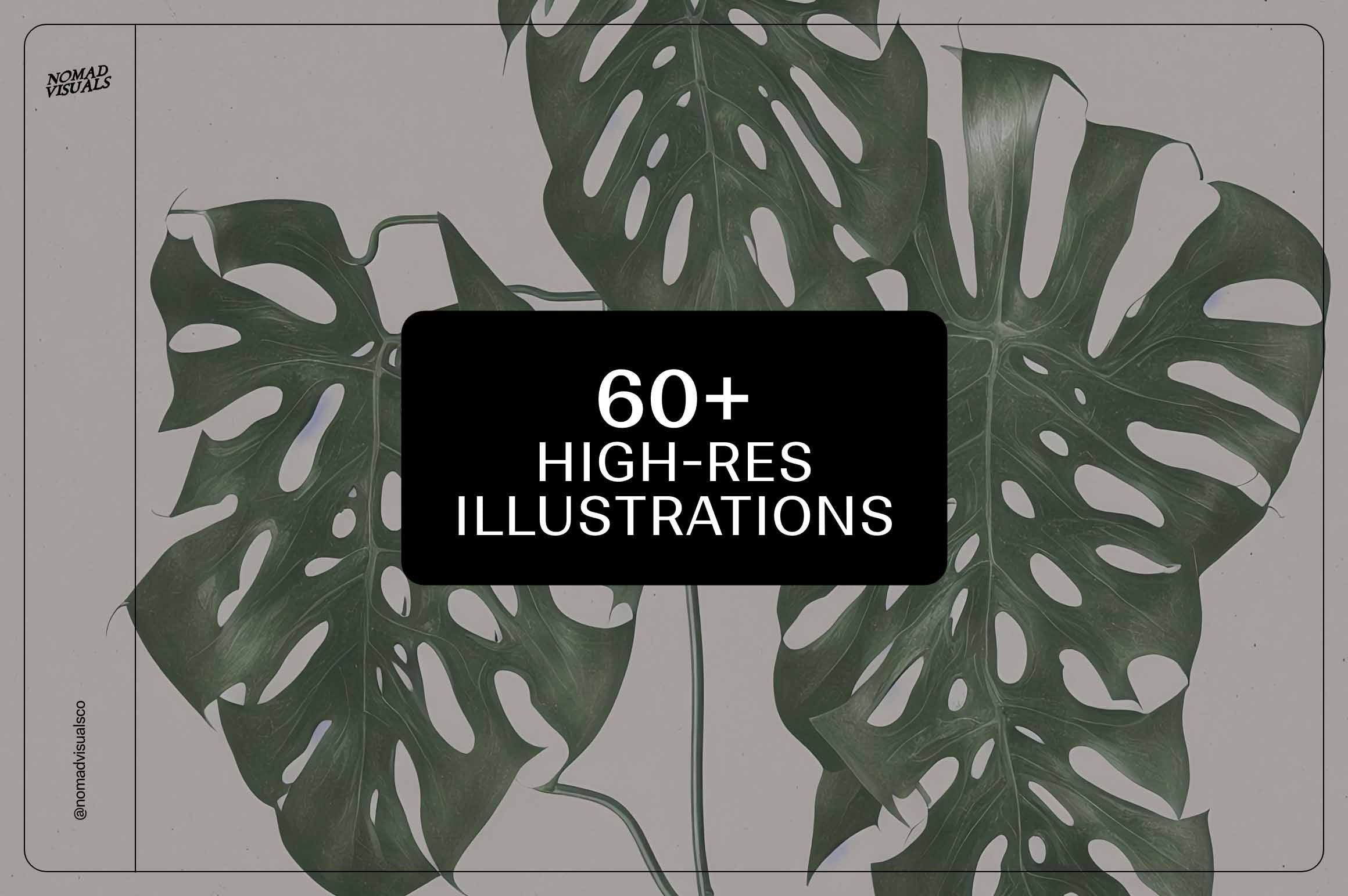 Monstera Tropical Collection - Nomad Visuals 9.jpg