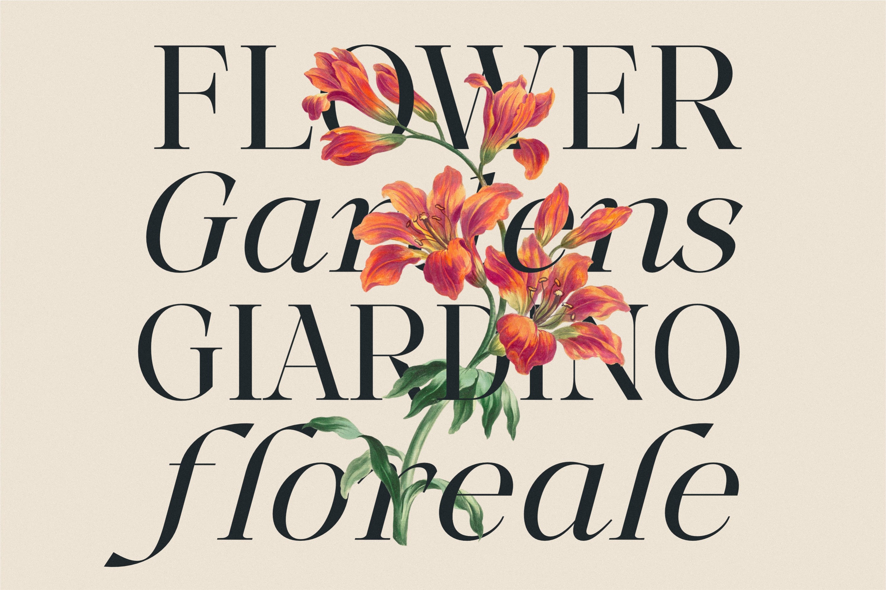 More Light - Genetypeco 7.jpg