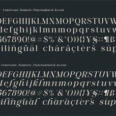 More Light - Genetypeco 8.jpg