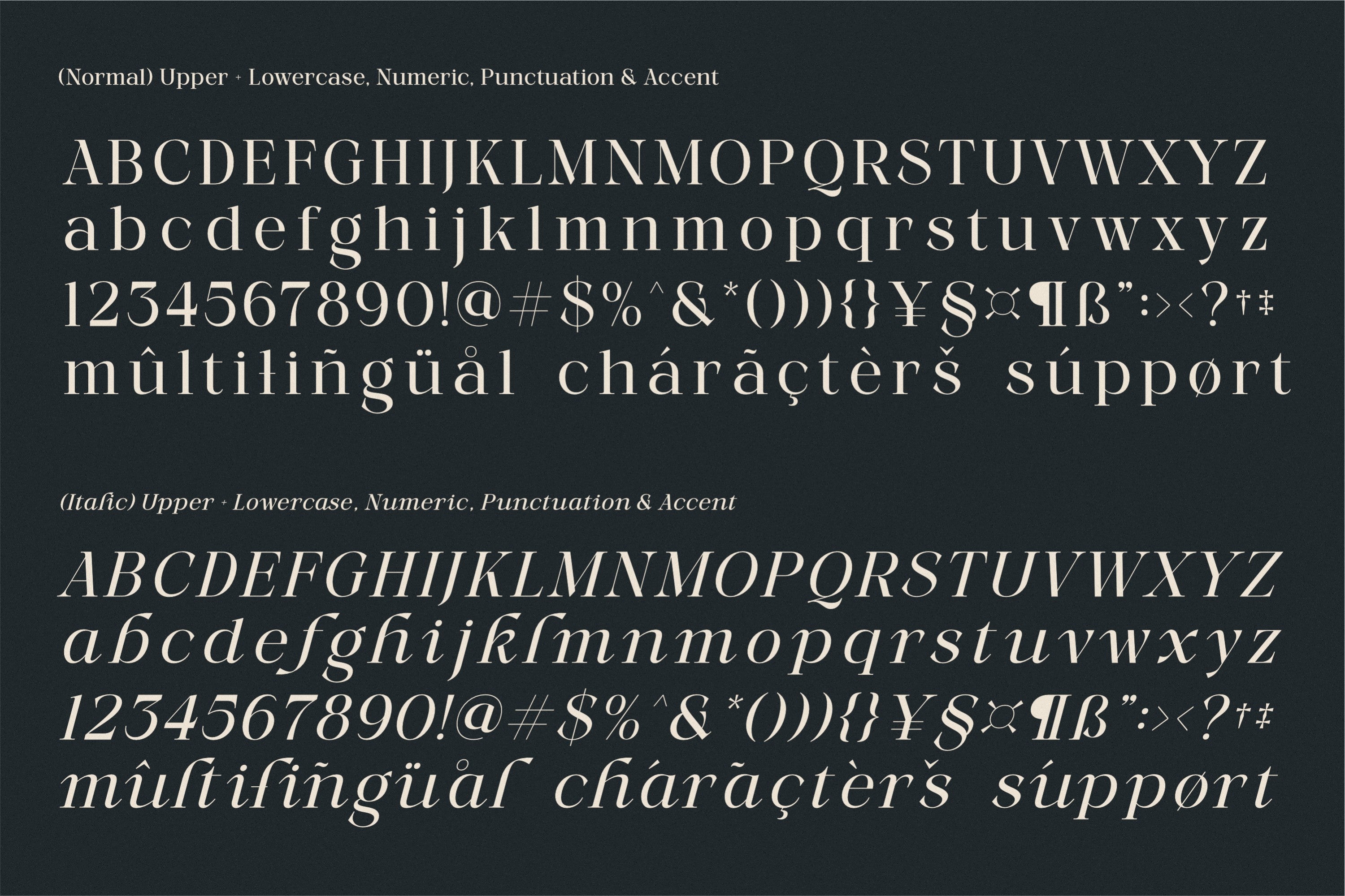 More Light - Genetypeco 8.jpg