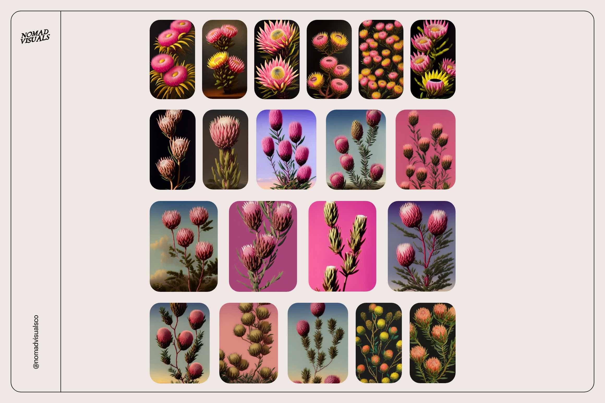 Mystic Flowers - Nomad Visuals 10.jpg