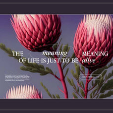 Mystic Flowers - Nomad Visuals 14.jpg