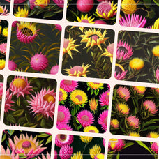 Mystic Flowers - Nomad Visuals 17.jpg