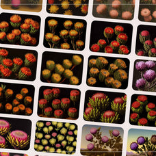 Mystic Flowers - Nomad Visuals 2.jpg