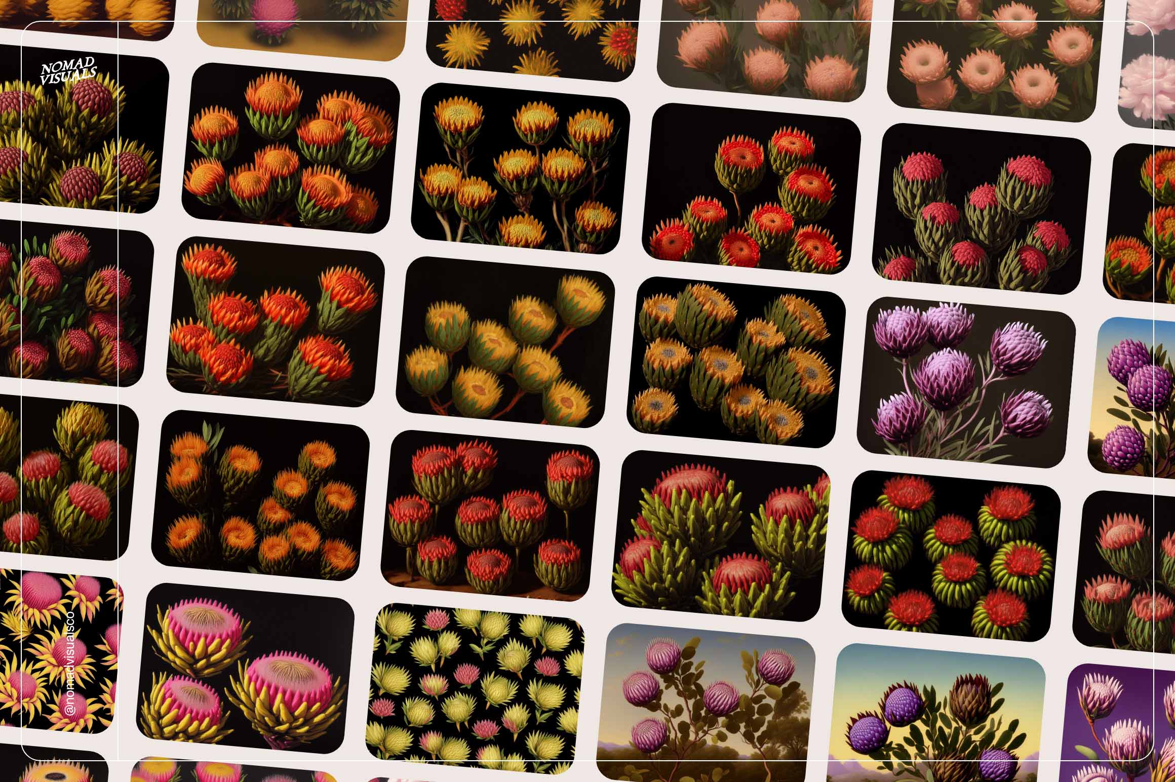 Mystic Flowers - Nomad Visuals 2.jpg