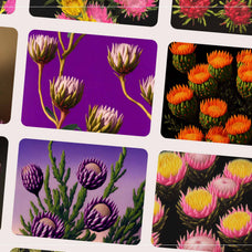 Mystic Flowers - Nomad Visuals 6.jpg