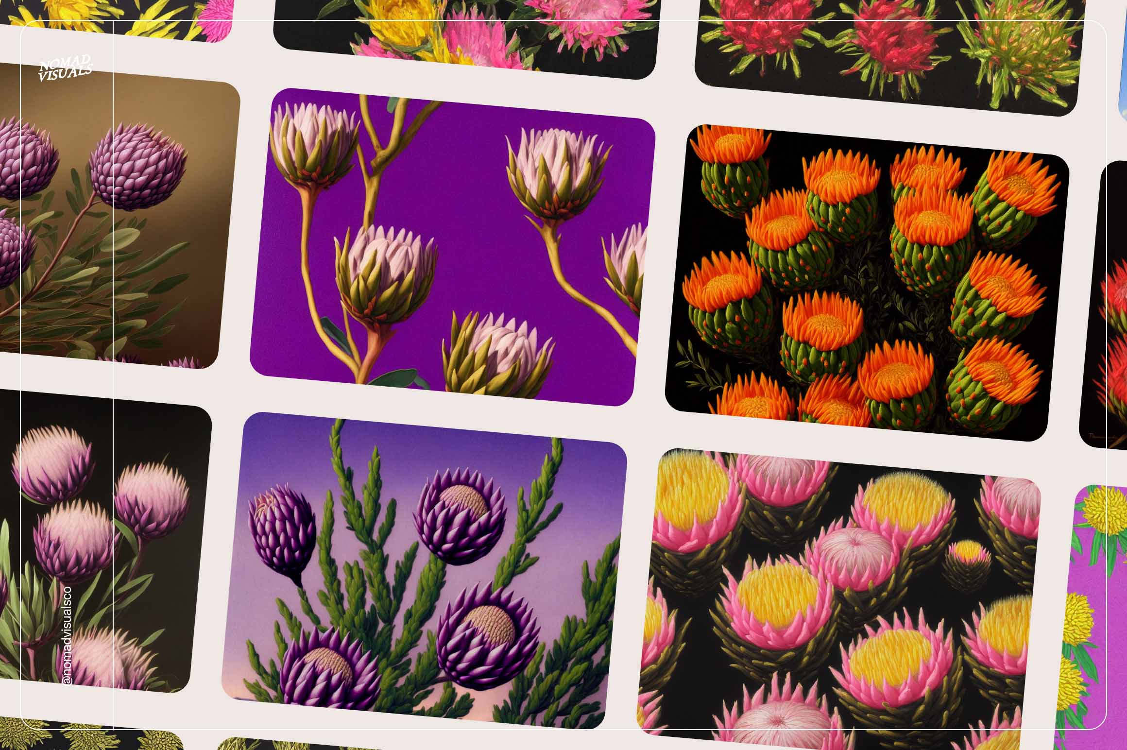 Mystic Flowers - Nomad Visuals 6.jpg