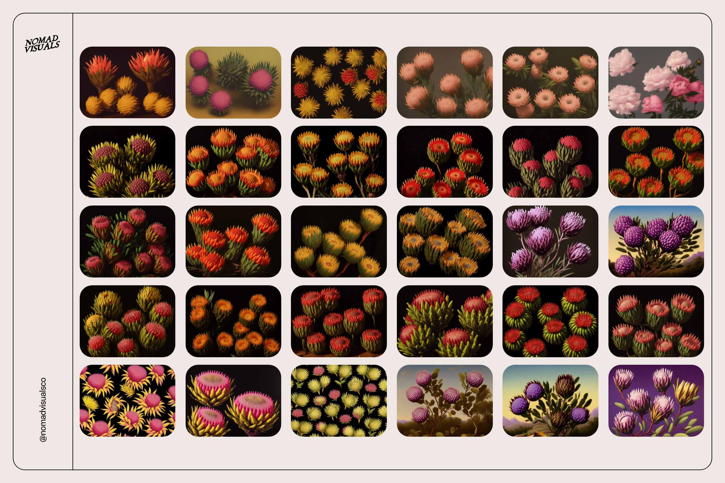 Mystic Flowers - Nomad Visuals 7.jpg