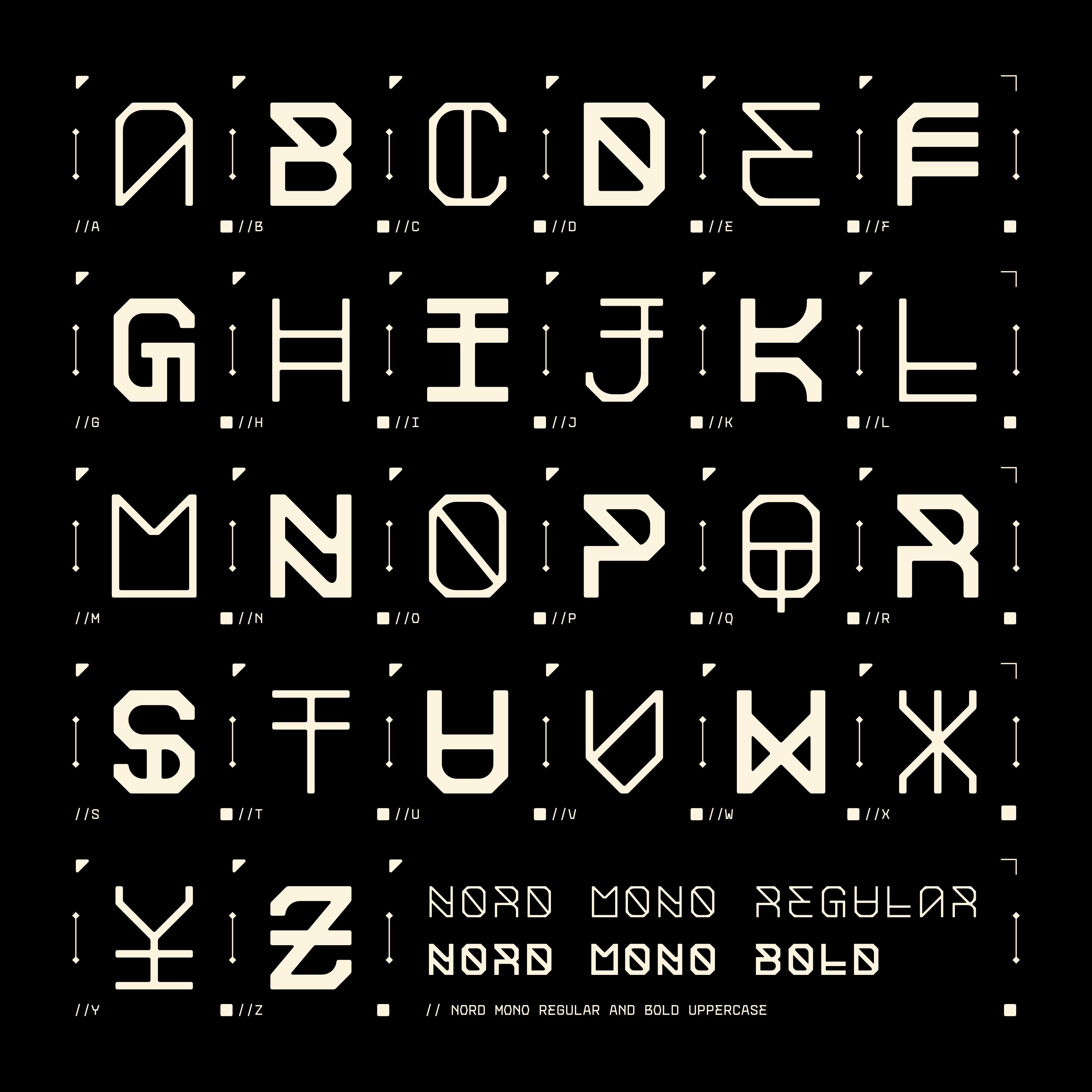 NORD MONOSPACED TYPEFACE FAMILY - Font For Zula™ 4.png