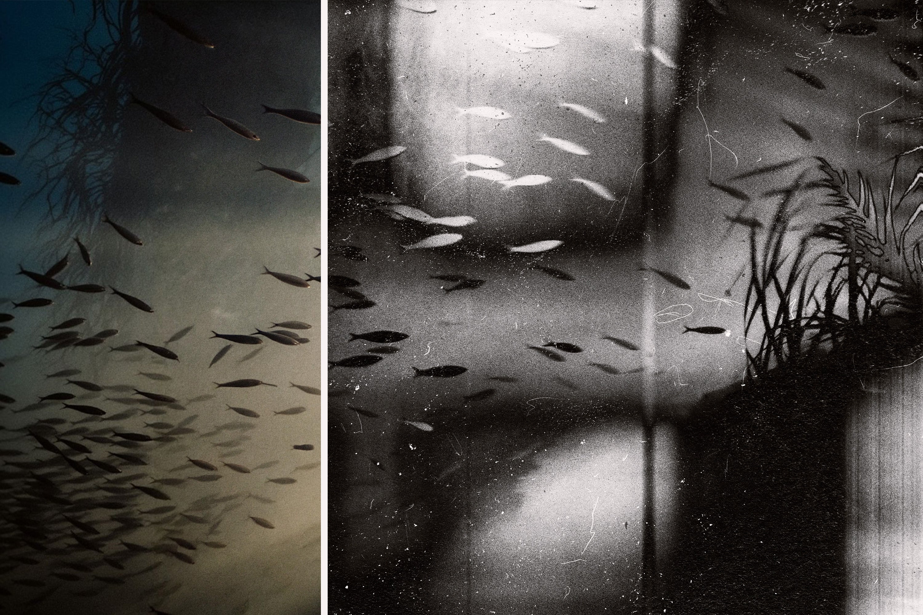 Negative Printer Photo Effect - Pixelbuddha 7.jpg