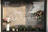 North Stains - Minimalist Script