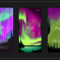 Northern Lights - Nomad Visuals 10.jpg