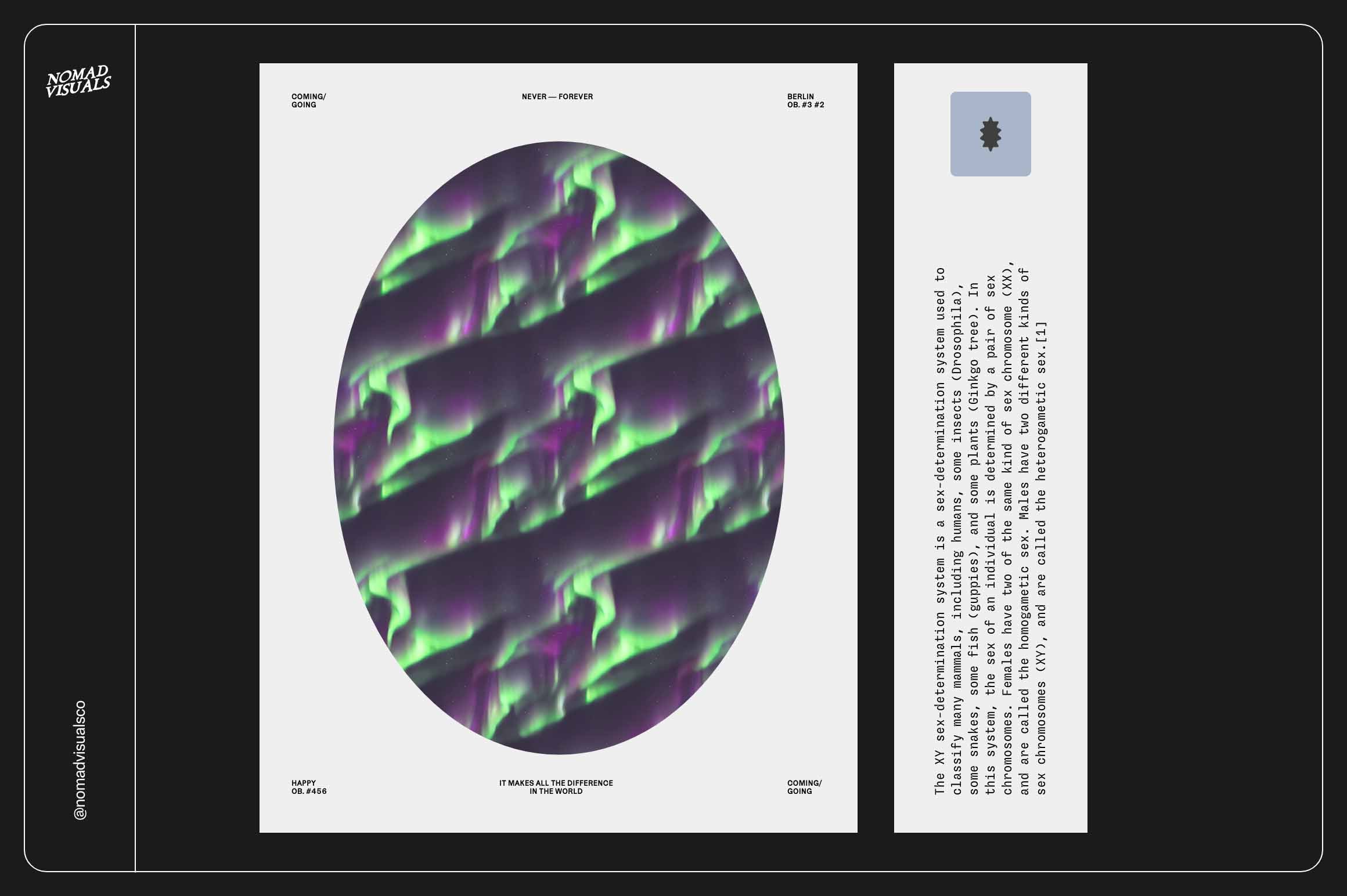 Northern Lights - Nomad Visuals 15.jpg