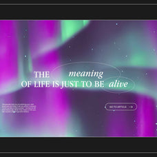 Northern Lights - Nomad Visuals 6.jpg