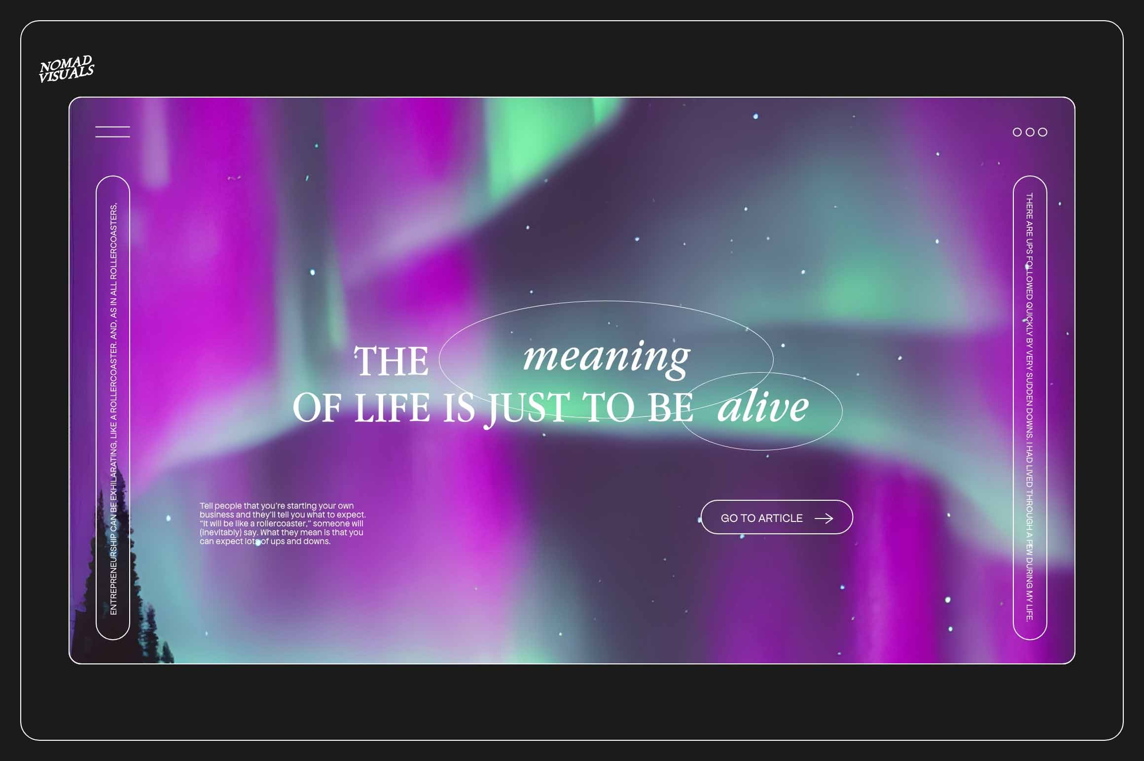 Northern Lights - Nomad Visuals 6.jpg