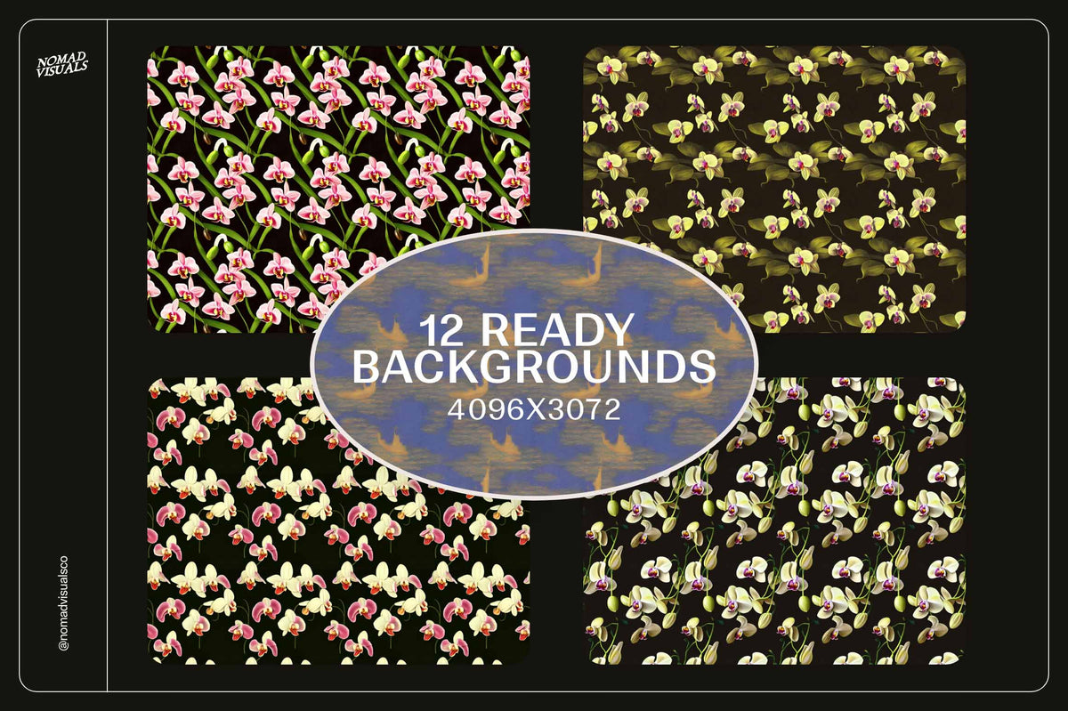 Orchids - Nomad Visuals 10.jpg