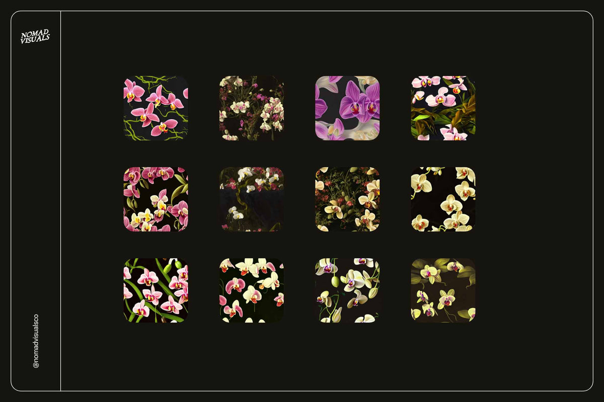 Orchids - Nomad Visuals 11.jpg