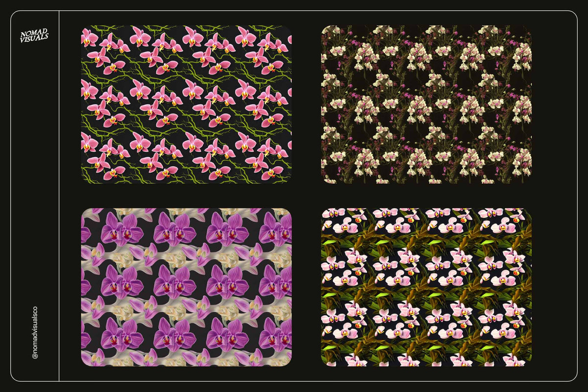 Orchids - Nomad Visuals 12.jpg