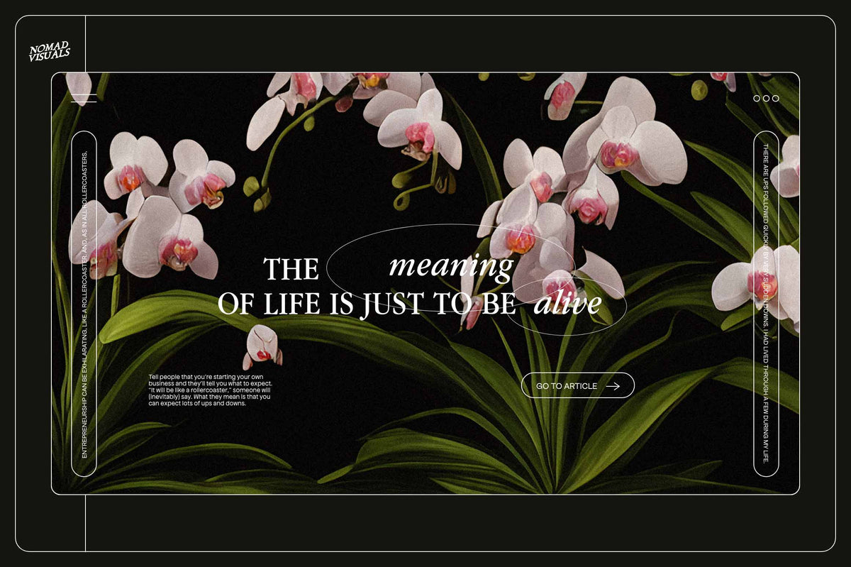 Orchids - Nomad Visuals 2.jpg