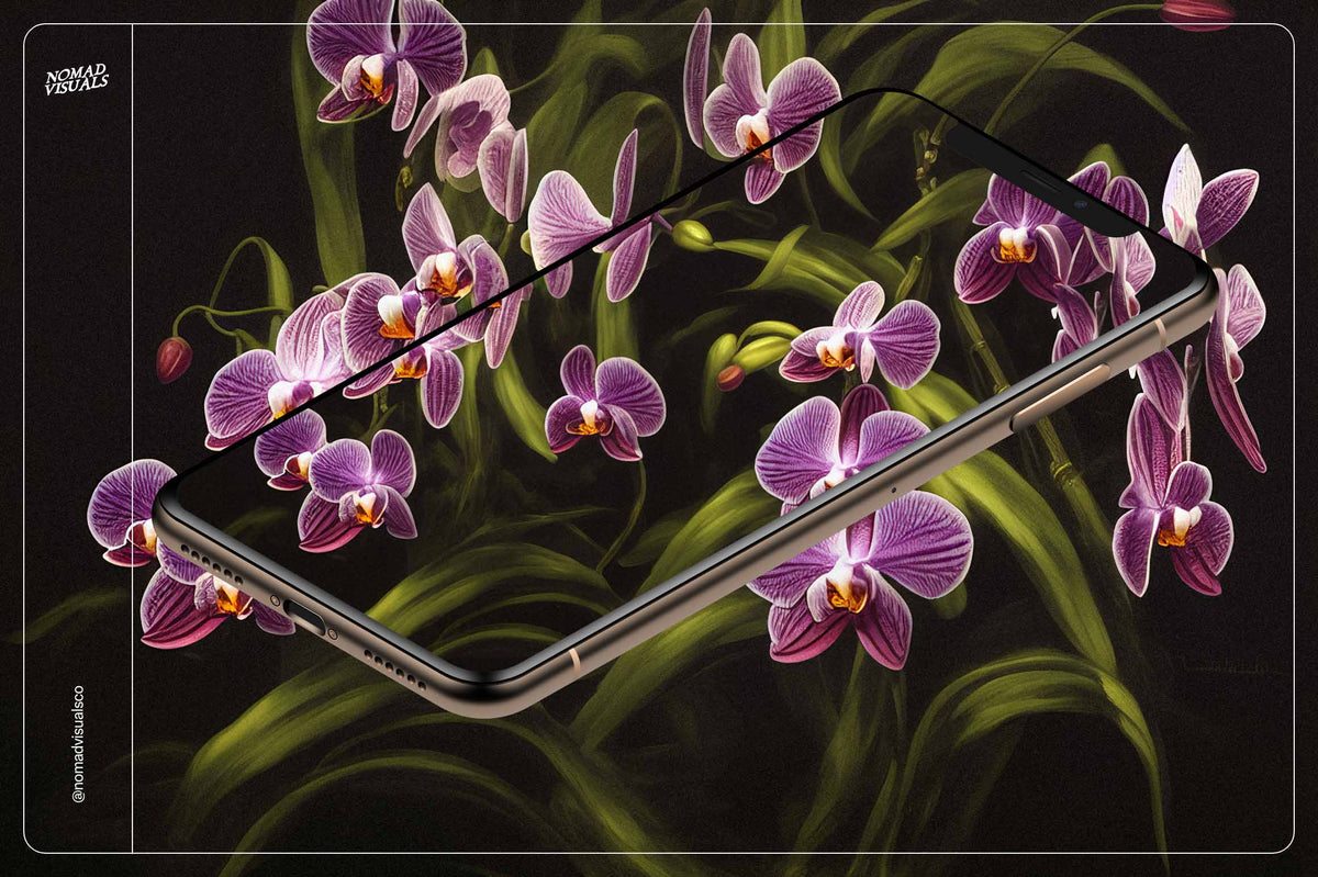 Orchids - Nomad Visuals 3.jpg