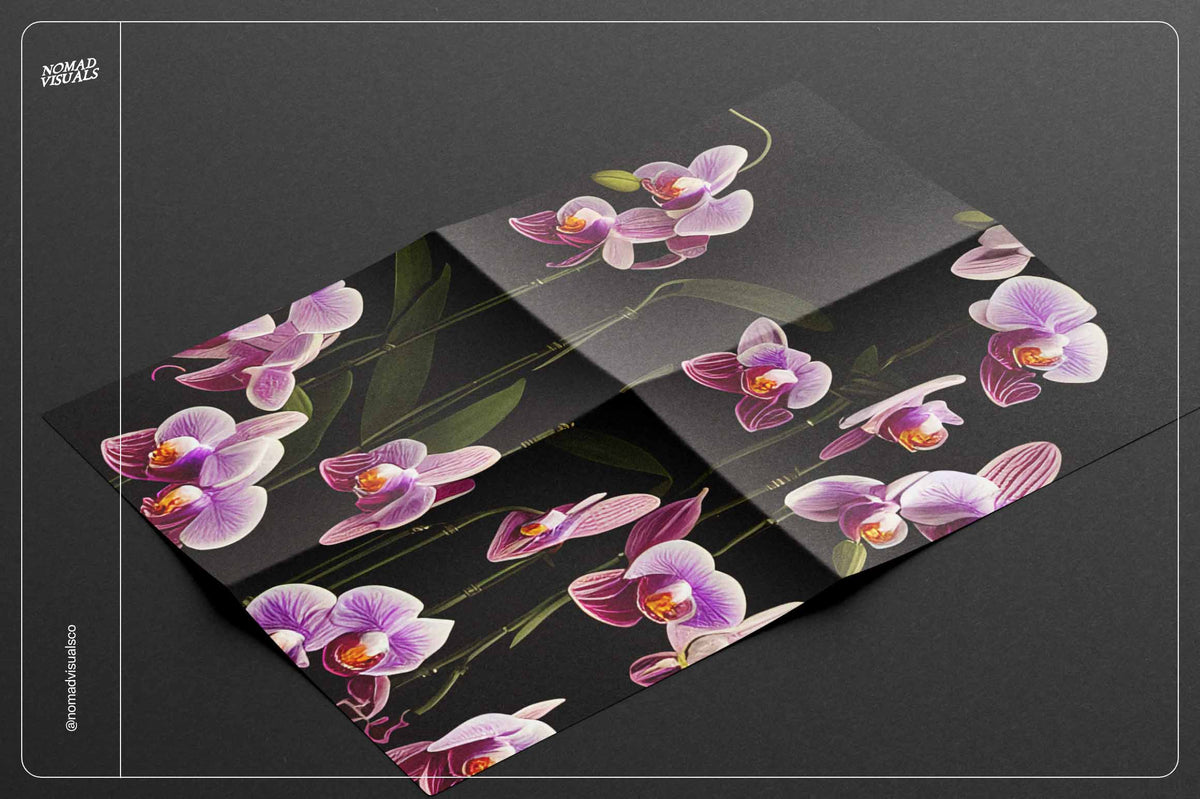 Orchids - Nomad Visuals 6.jpg