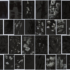 PRINT ON GLUE TEXTURE PACK - Textexp 7.jpg